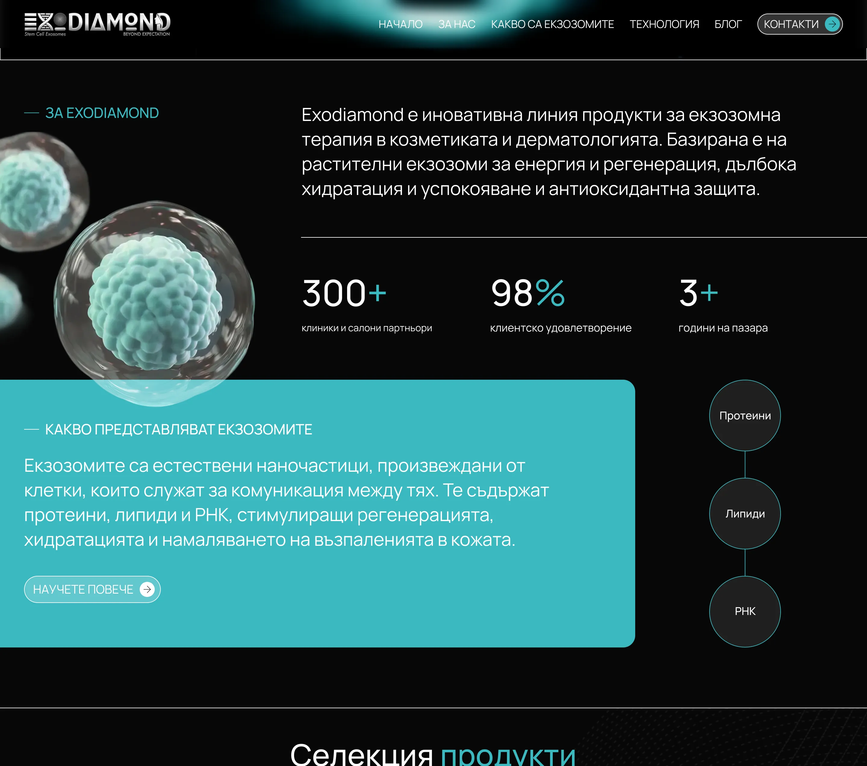 дизайн за уеб сайта на Exodiamond от маркетинг агенция DGTalents